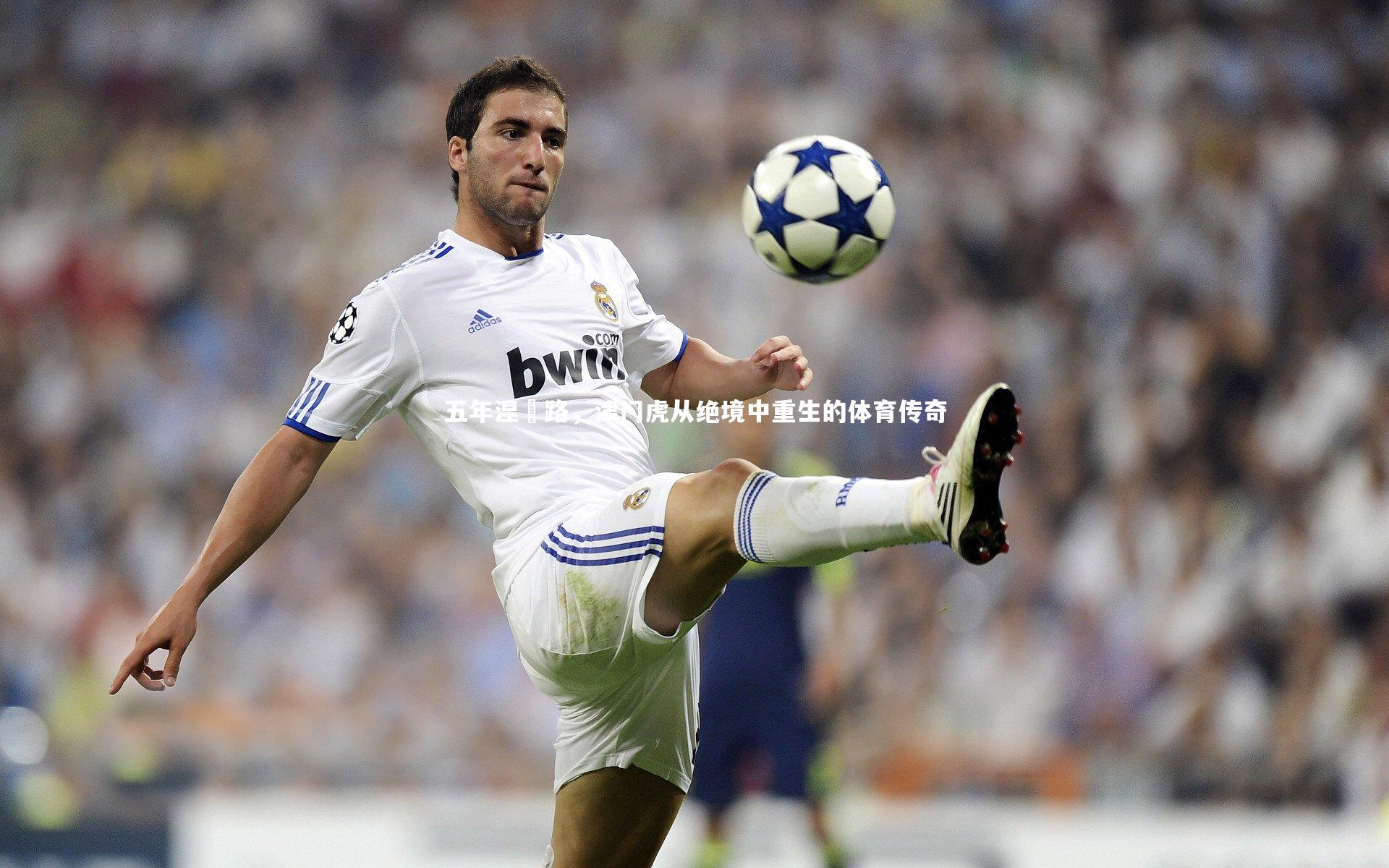 【fbapp】五年涅槃路，津门虎从绝境中重生的体育传奇